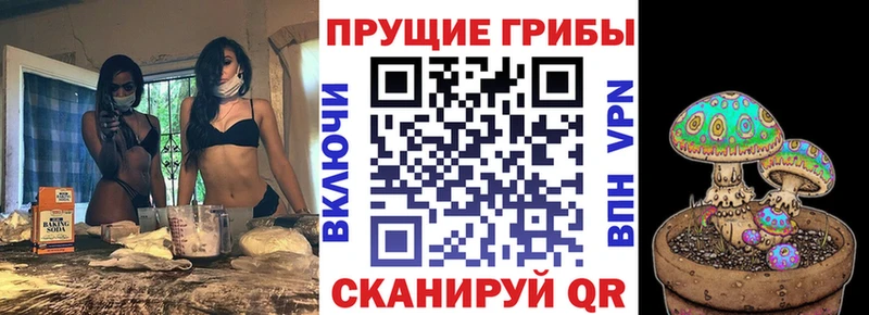 как найти закладки  Богородск  Галлюциногенные грибы мухоморы 