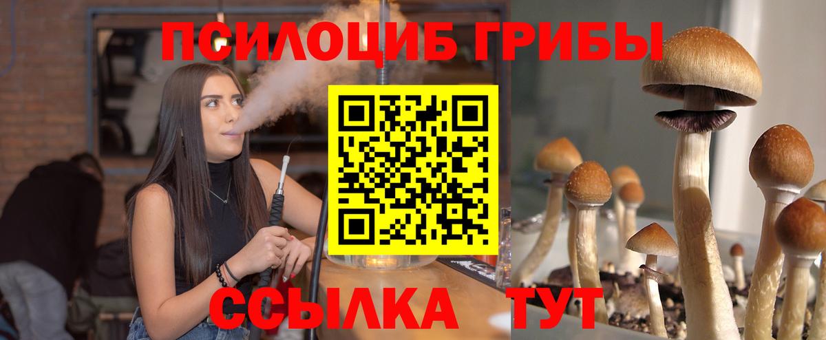Богородск  Галлюциногенные грибы мухоморы  Галлюциногенные грибы Psilocybe  Вход с VPN 
